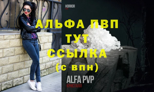 МДПВ Вяземский
