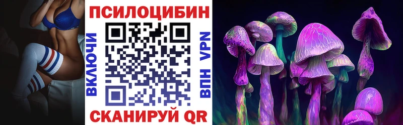 Купить  Кемь  Псилоцибиновые грибы Psilocybine cubensis 