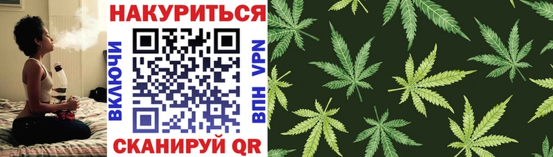 Бошки Шишки White Widow  Купить закладки  Кемь 